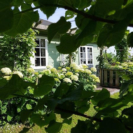 Romantisch Huisje Nabij Het Strand Met Uitzicht Op De Tulpenvelden ユリアーナドルプ エクステリア 写真