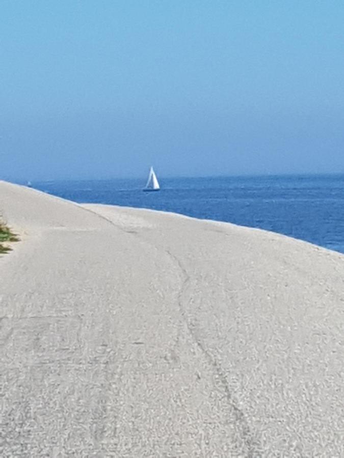 Romantisch Huisje Nabij Het Strand Met Uitzicht Op De Tulpenvelden ユリアーナドルプ エクステリア 写真