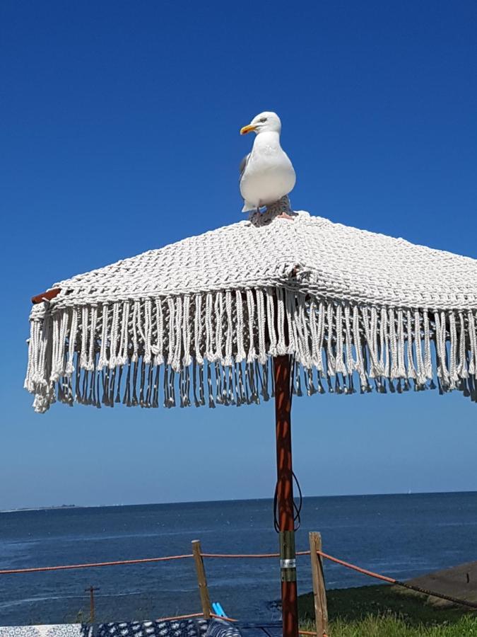 Romantisch Huisje Nabij Het Strand Met Uitzicht Op De Tulpenvelden ユリアーナドルプ エクステリア 写真