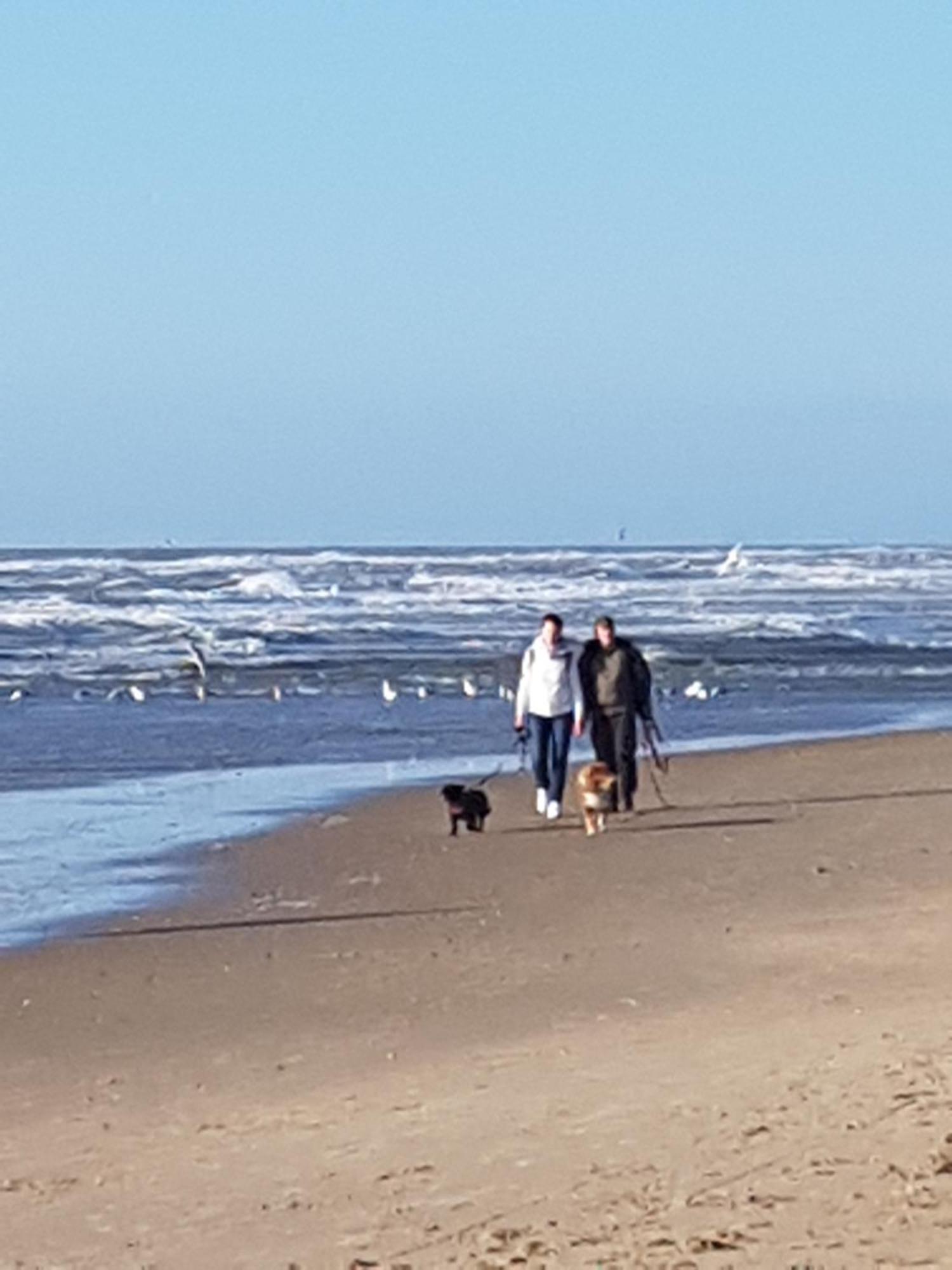 Romantisch Huisje Nabij Het Strand Met Uitzicht Op De Tulpenvelden ユリアーナドルプ エクステリア 写真