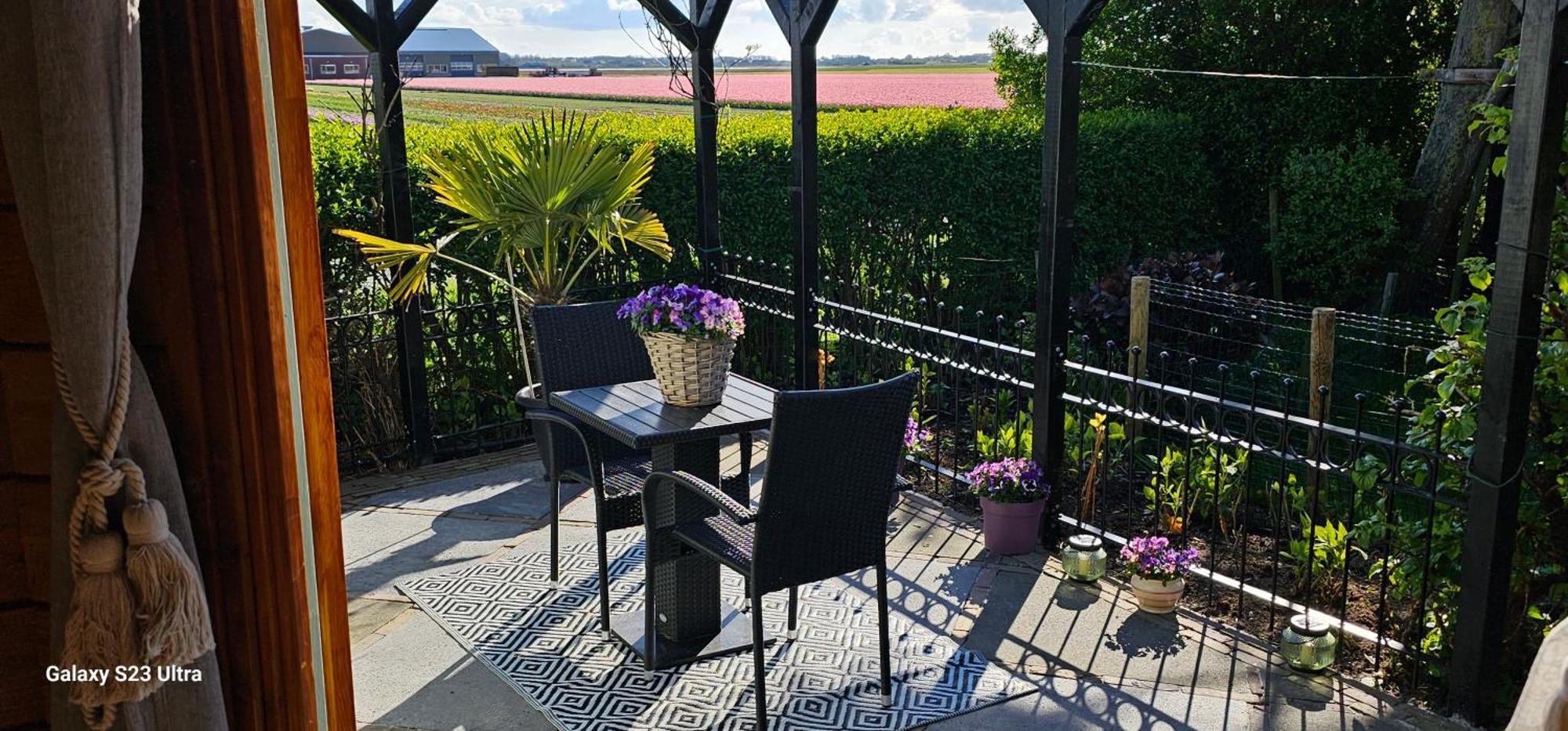 Romantisch Huisje Nabij Het Strand Met Uitzicht Op De Tulpenvelden ユリアーナドルプ エクステリア 写真