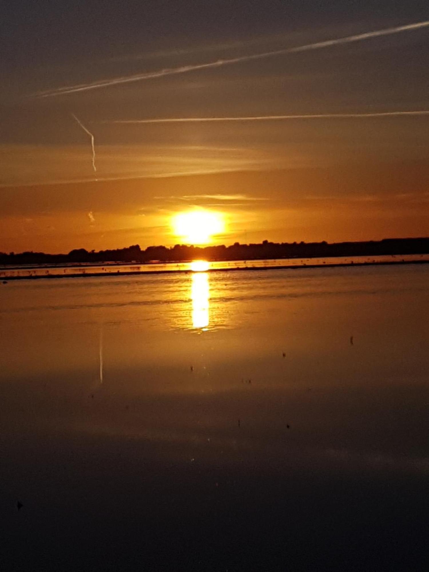 Romantisch Huisje Nabij Het Strand Met Uitzicht Op De Tulpenvelden ユリアーナドルプ エクステリア 写真