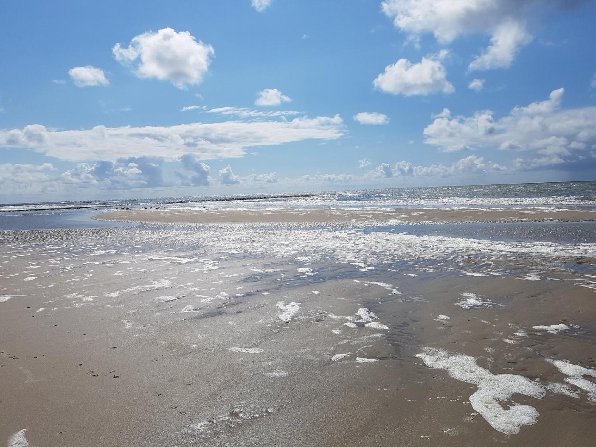 Romantisch Huisje Nabij Het Strand Met Uitzicht Op De Tulpenvelden ユリアーナドルプ エクステリア 写真
