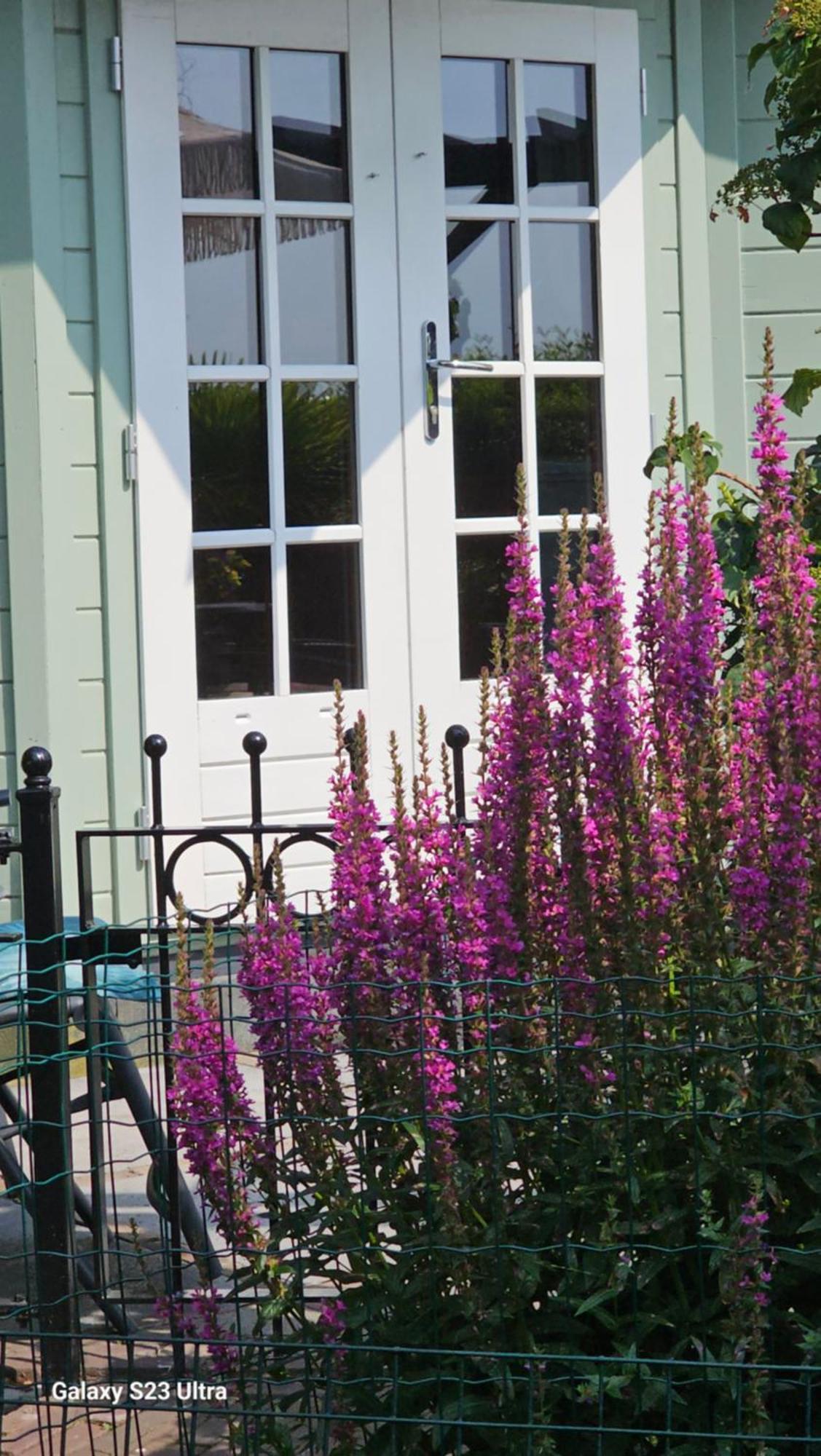 Romantisch Huisje Nabij Het Strand Met Uitzicht Op De Tulpenvelden ユリアーナドルプ エクステリア 写真