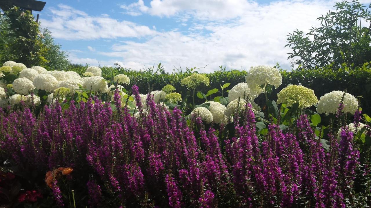 Romantisch Huisje Nabij Het Strand Met Uitzicht Op De Tulpenvelden ユリアーナドルプ エクステリア 写真
