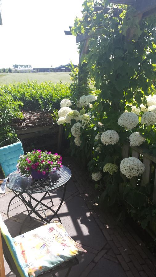 Romantisch Huisje Nabij Het Strand Met Uitzicht Op De Tulpenvelden ユリアーナドルプ エクステリア 写真