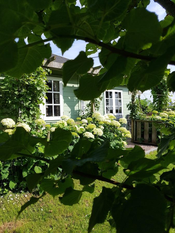 Romantisch Huisje Nabij Het Strand Met Uitzicht Op De Tulpenvelden ユリアーナドルプ エクステリア 写真